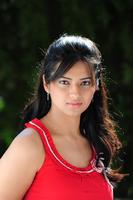 Isha Chawla Photo Gallery